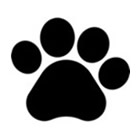 avvs_icon5